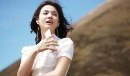 宋慧乔娱乐圈爆料,独家爆料揭露明星圈层真相